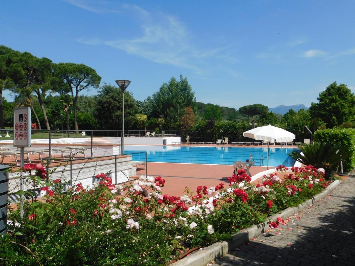 Lato Soleggiato @Gardazzurro Daire Padenghe sul Garda Dış mekan fotoğraf